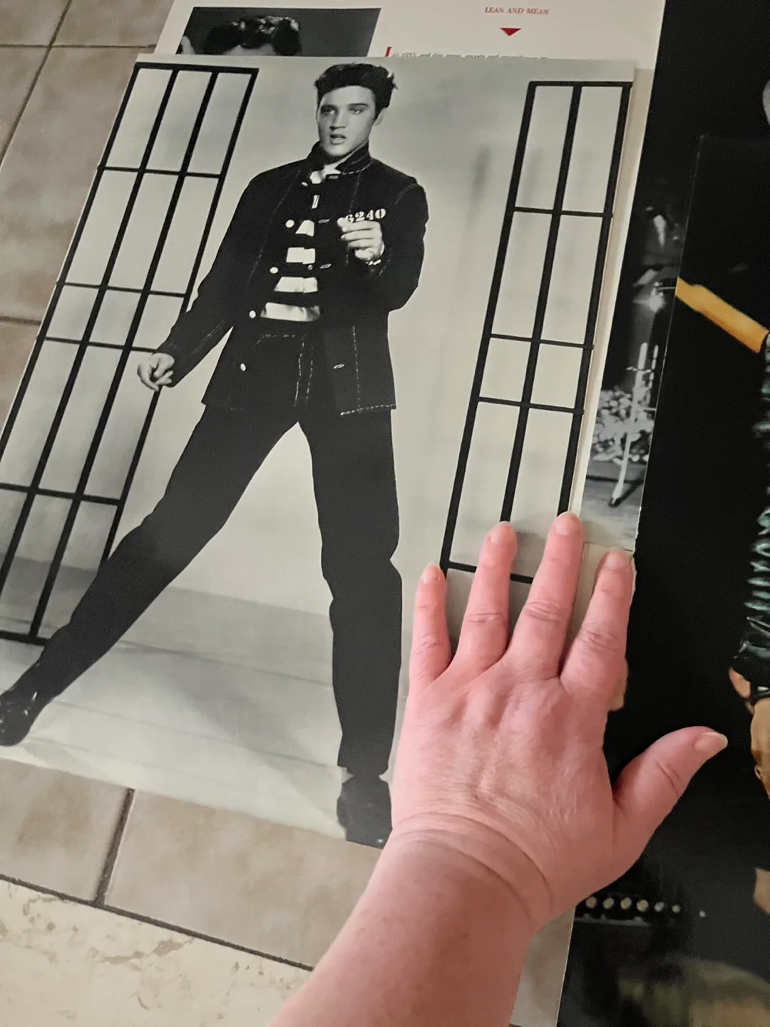 Elvis Presley Classic Poster Book image indicator(6)