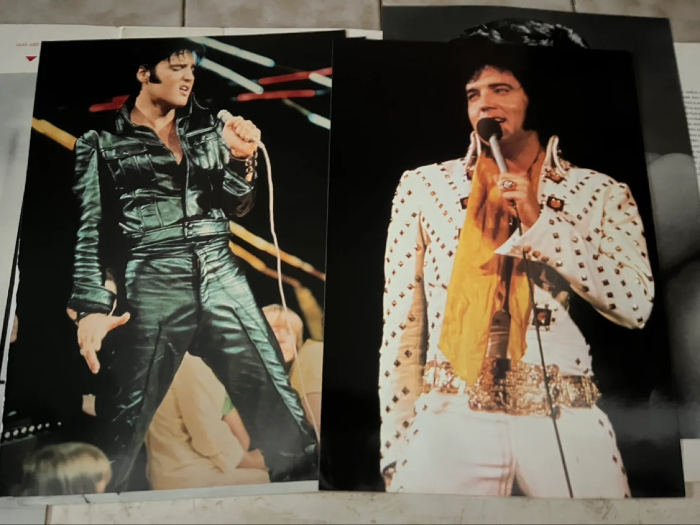 Elvis Presley Classic Poster Book image indicator(2)