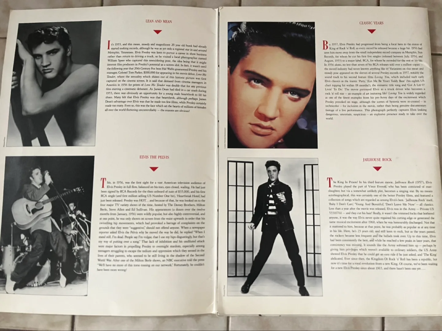 Elvis Presley Classic Poster Book image indicator(5)