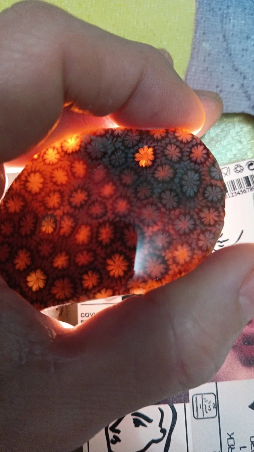 Polished Flower Fossil Specimen HQ image indicator(2)