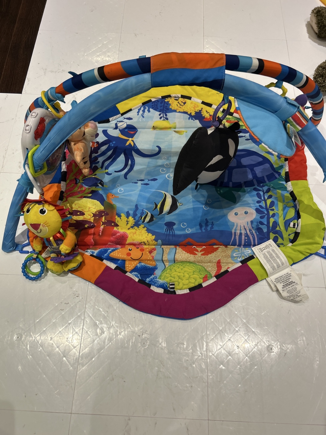 Baby Playmat with Arch and Toys