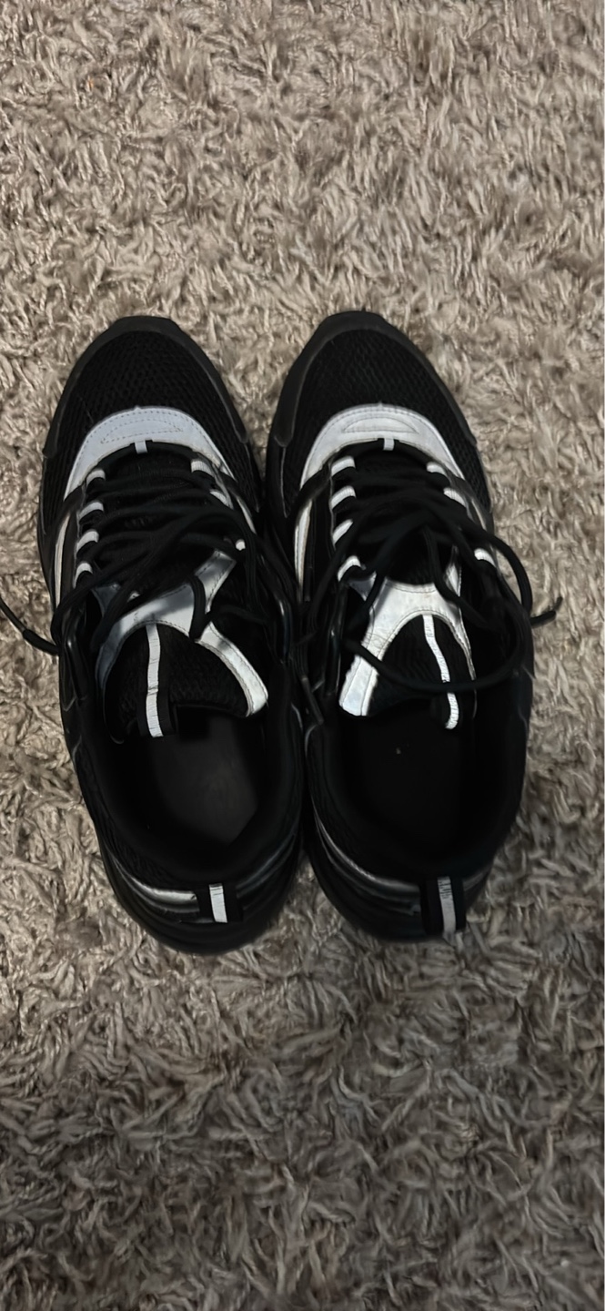 Dior b22