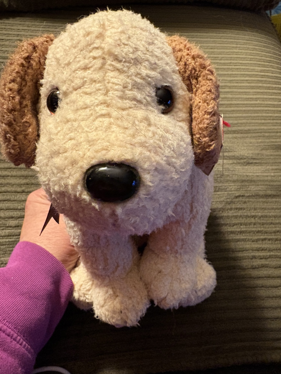 Ty Beanie Baby Rufus the Puppy Plush Toy