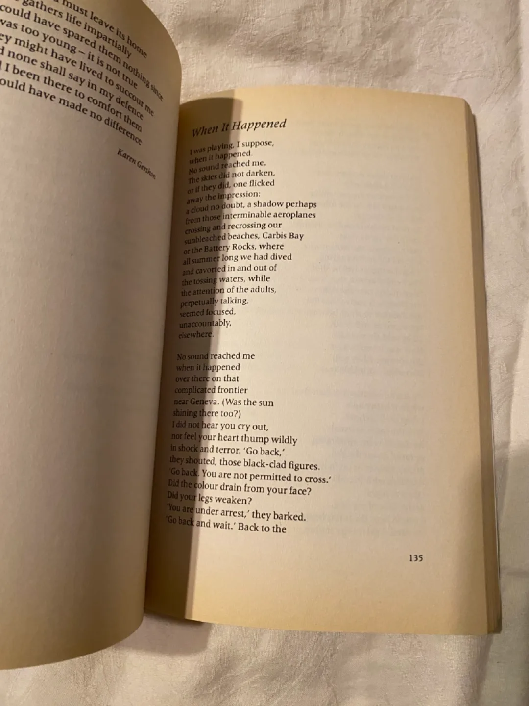 Holocaust Poetry by Hilda Schiff 💚 image indicator(4)