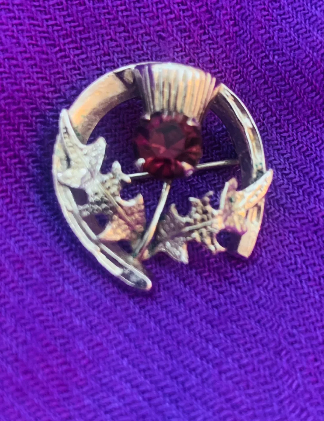 Vintage Mizpah Horseshoe Thistle Brooch image indicator(2)