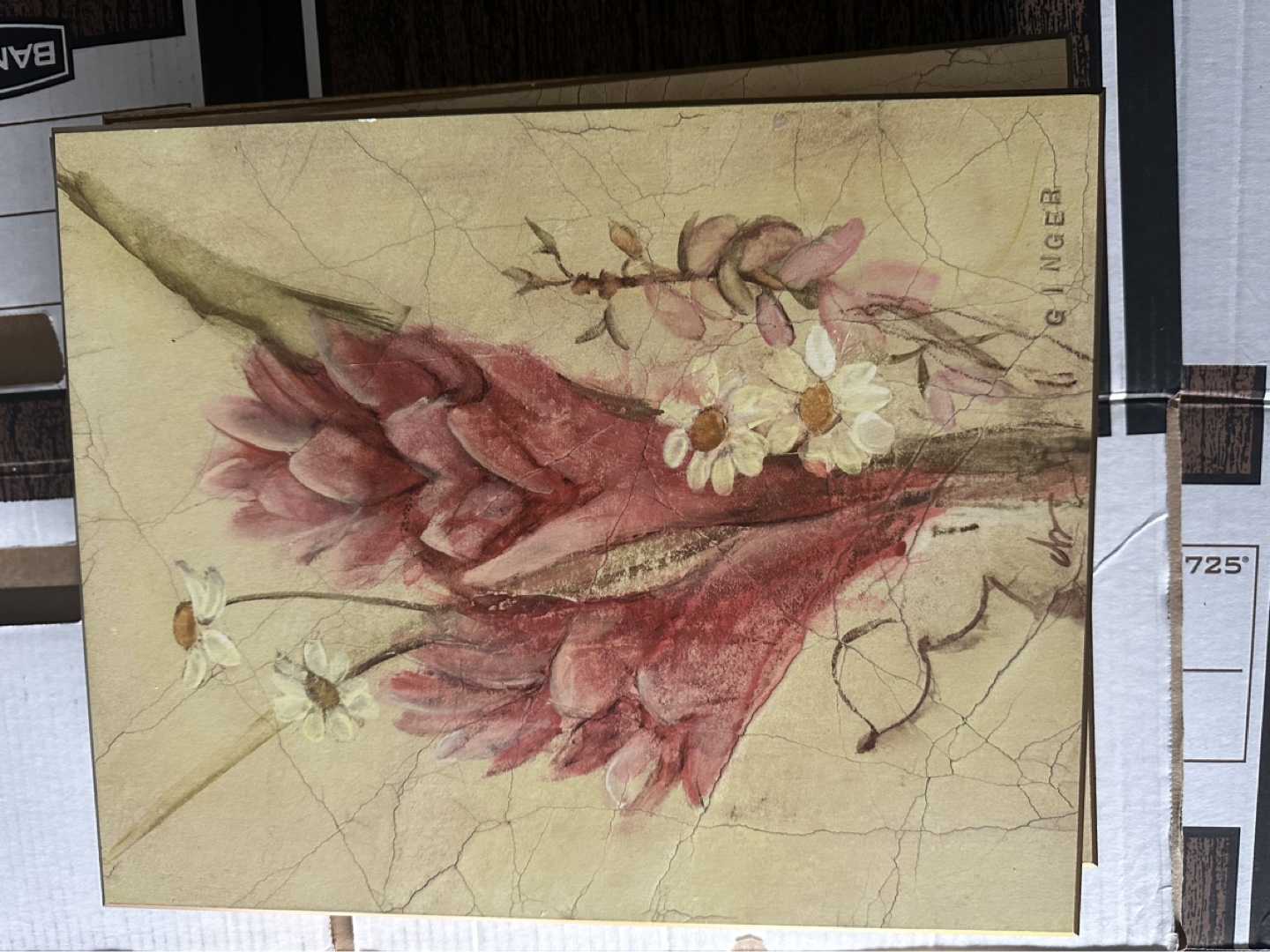 Set of Four Botanical Wall Art Prints