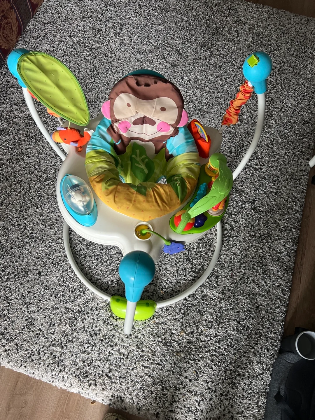 Baby Einstein Take-Along Jumperoo image indicator(2)