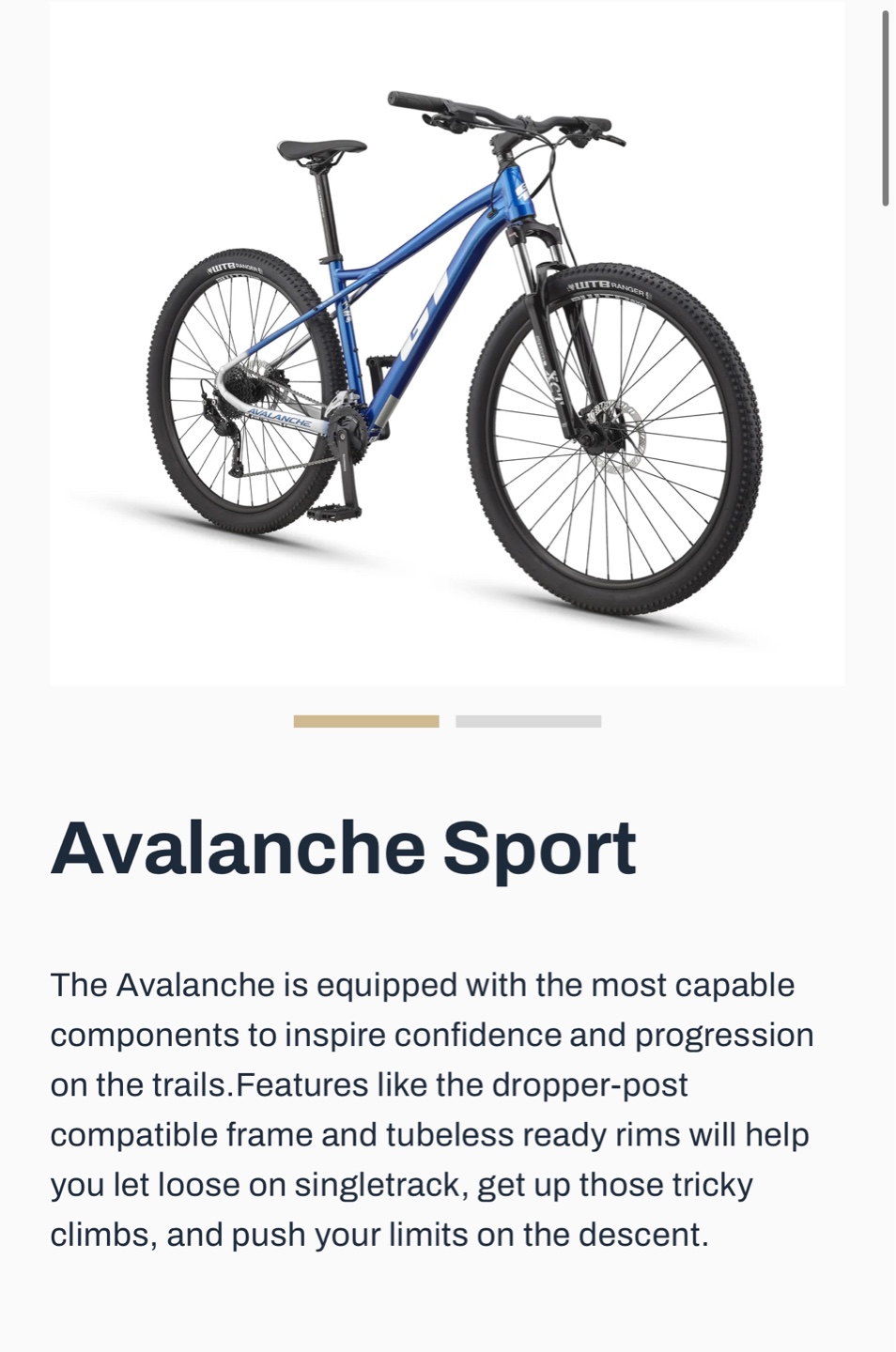 Mountain bike - avalanche