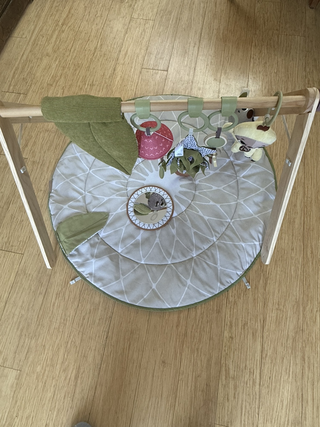 Tiny Love Boho Chic Luxe Developmental Playmat
