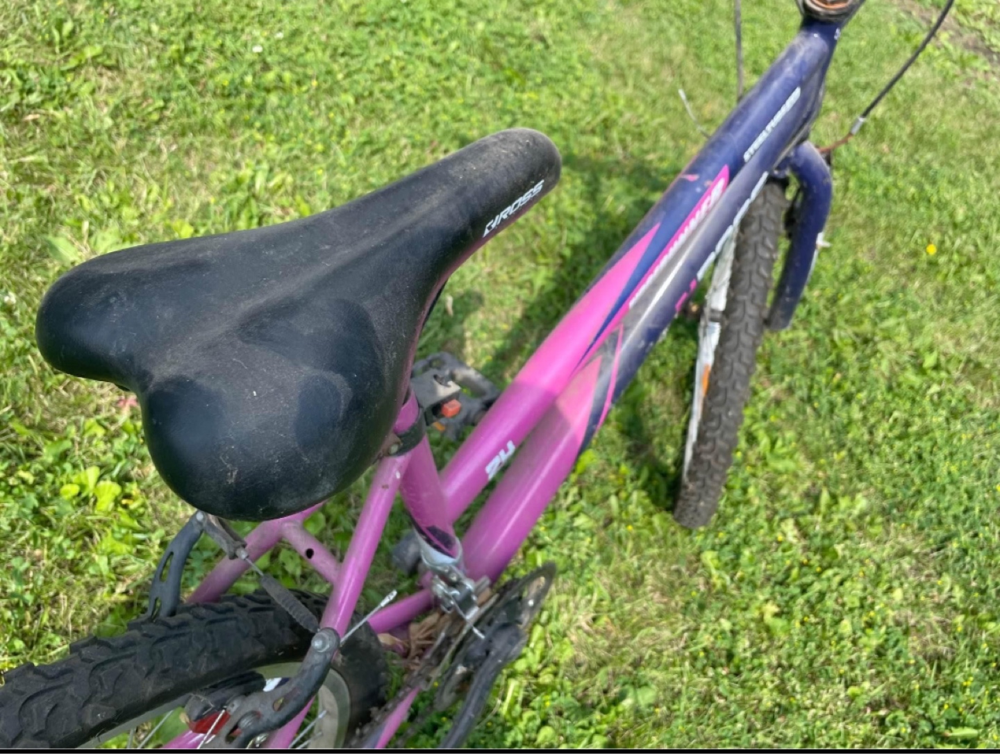 Ross ridgerunner 18 speed-youth bike - photo 5