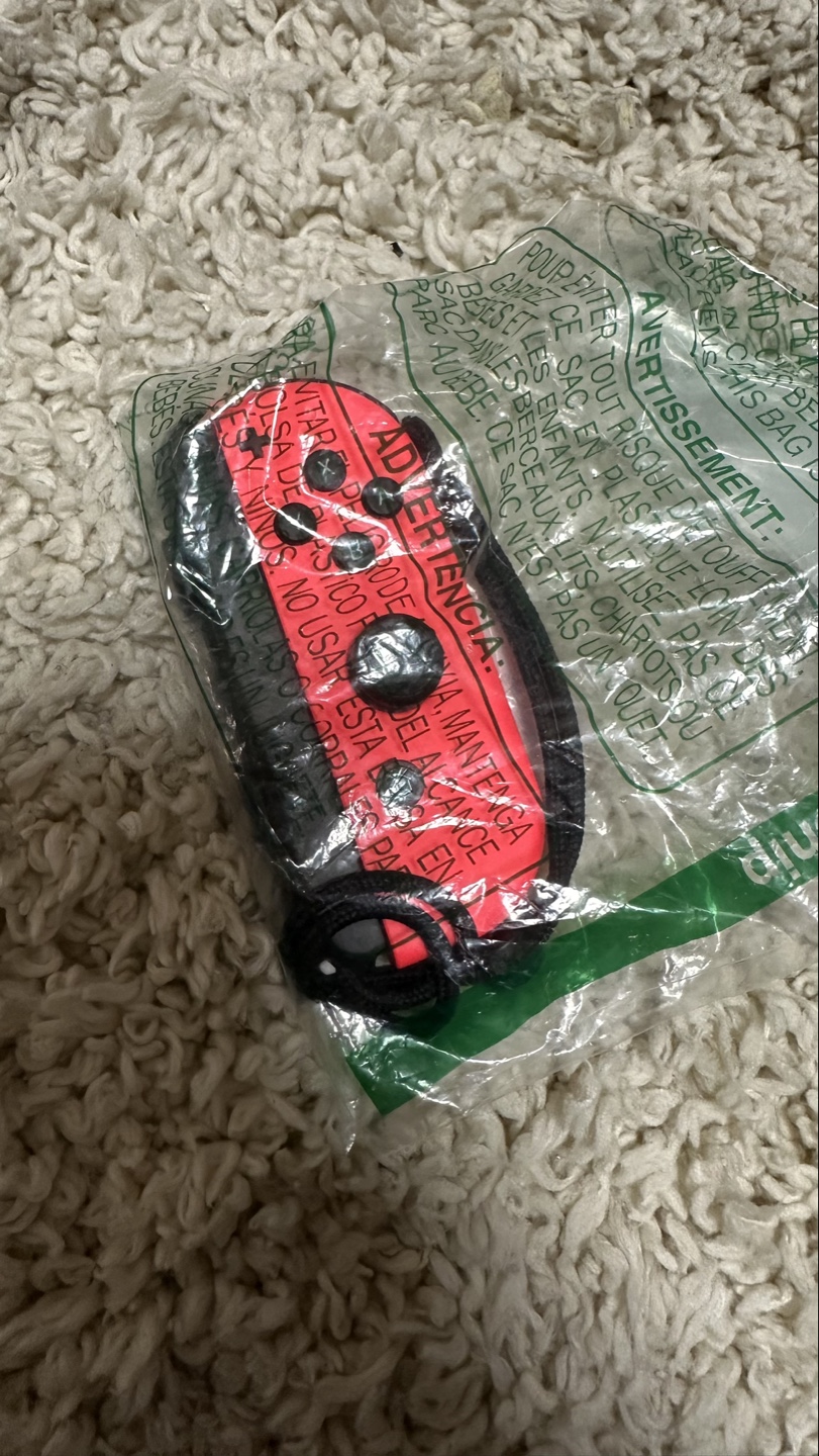 Nintendo Switch Lite - Carrying Case - photo 2