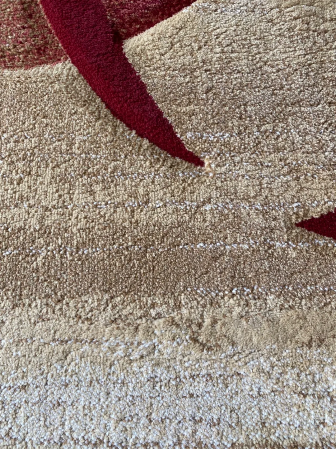 Modern Area Rug image indicator(3)