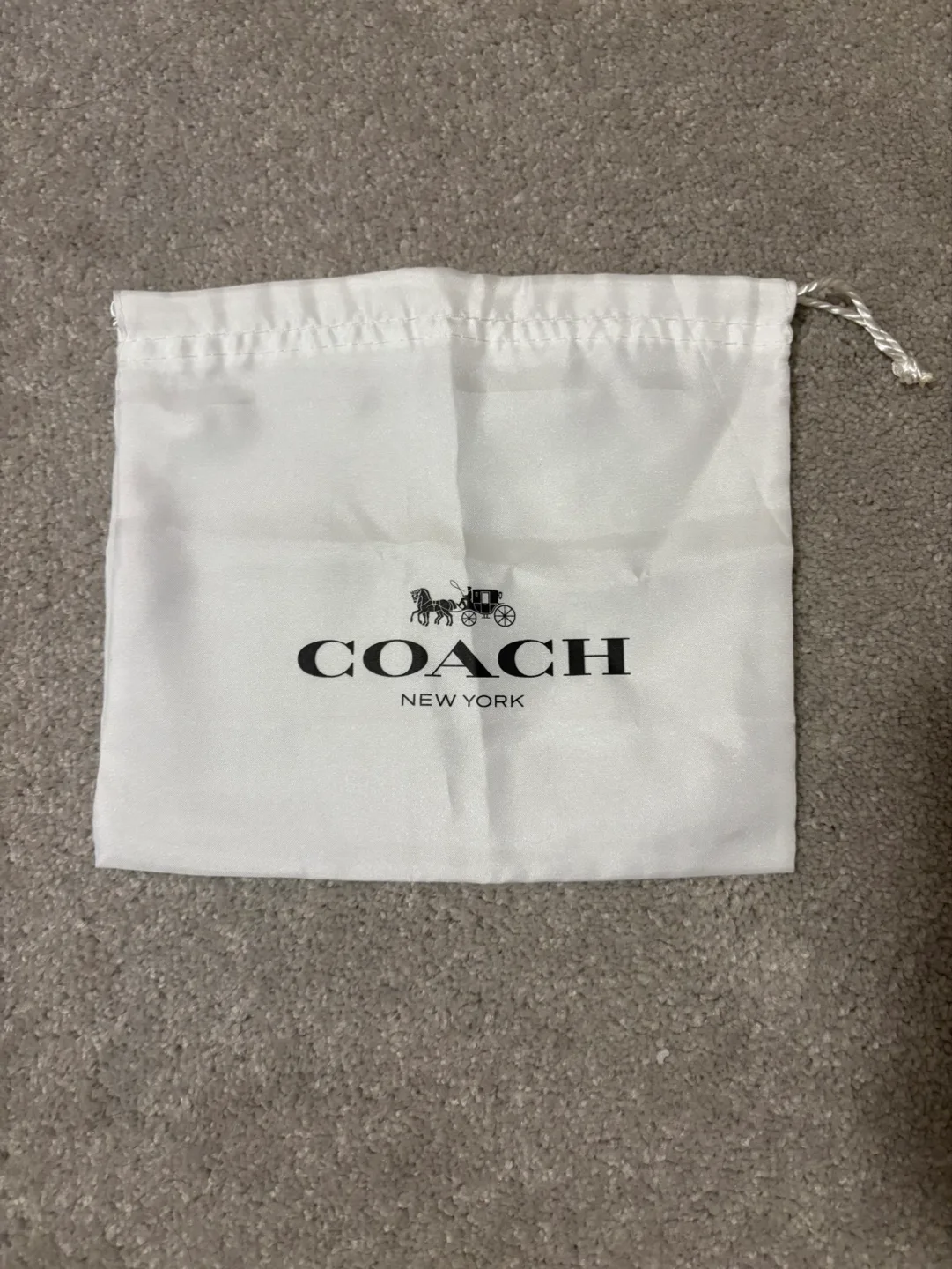 Brand New! Coach Luxury Grinder Storage Bag Canva Leather image indicator(3)