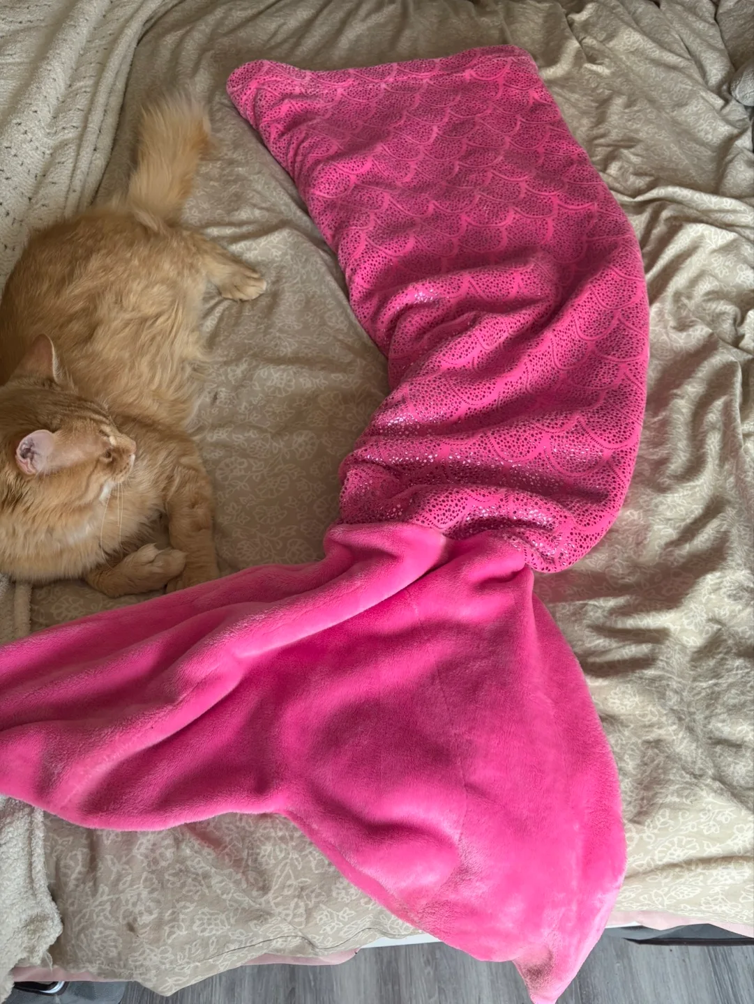 Pink Mermaid Tail Blanket