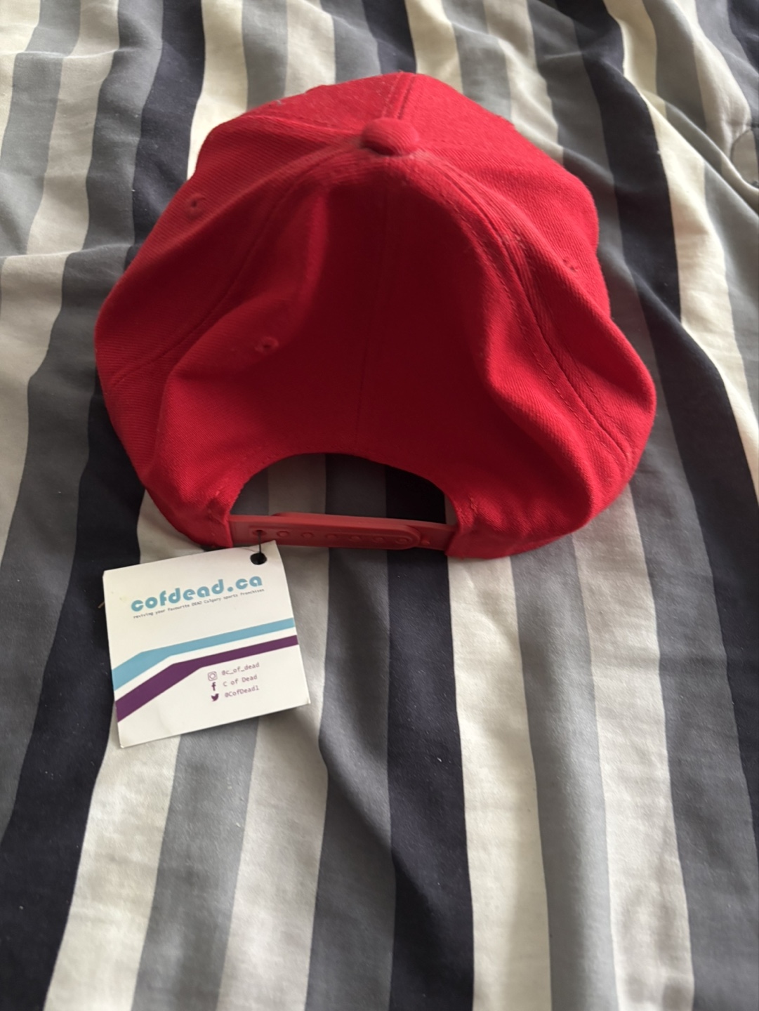C of Dead Calgary Cannons SnapBack Hat - photo 2