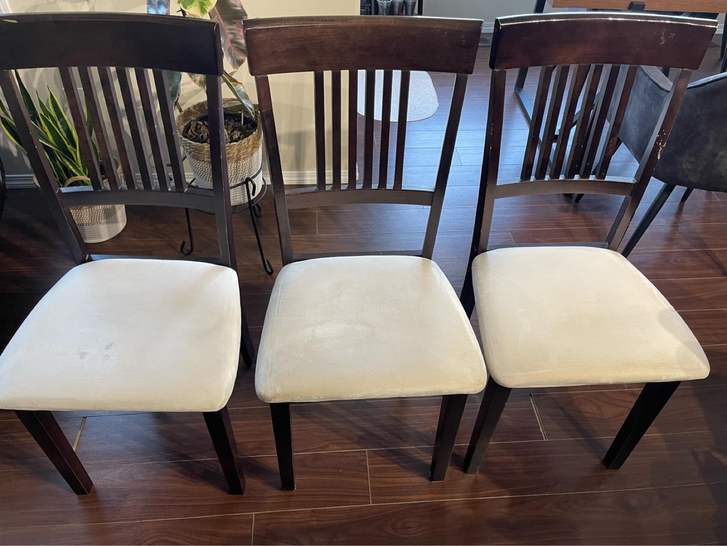 Dining Chairs