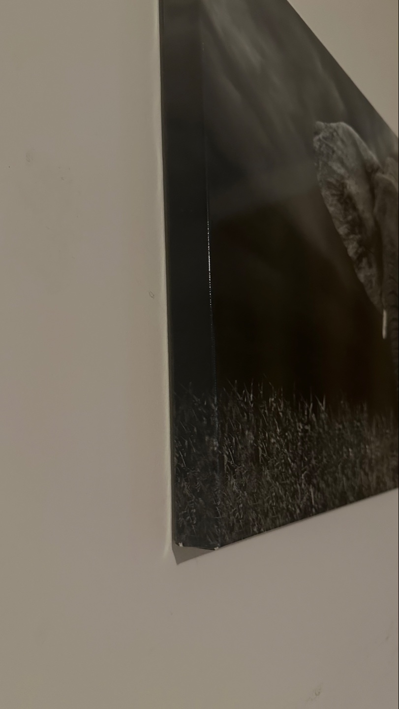 Canvas Wall Art - Elephant Family - photo 4
