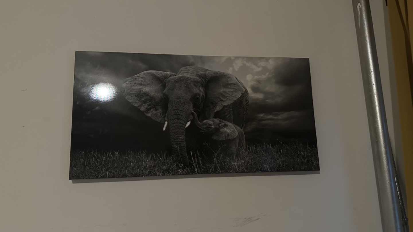 Canvas Wall Art - Elephant Family - photo 3