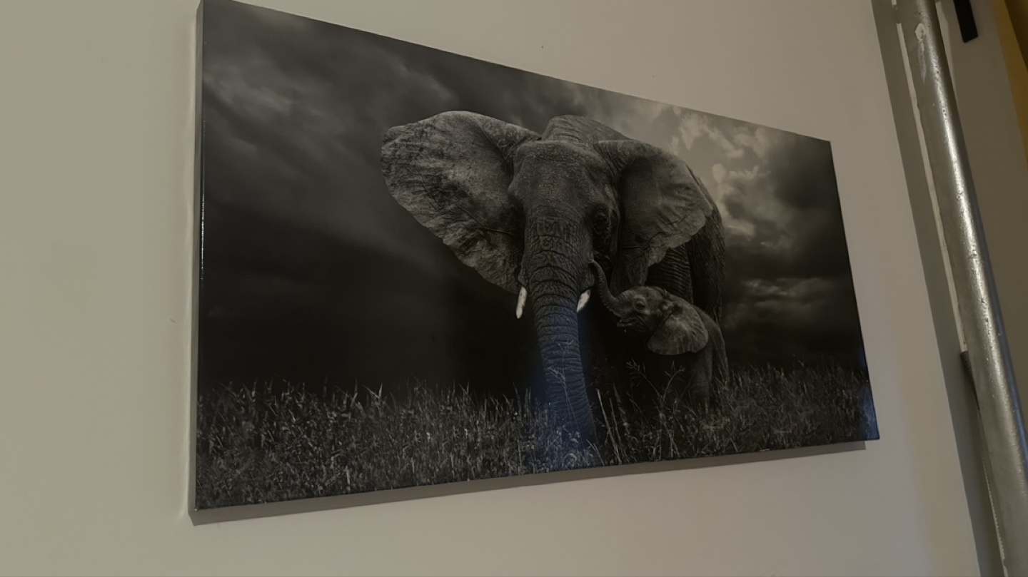 Canvas Wall Art - Elephant Family - photo 2