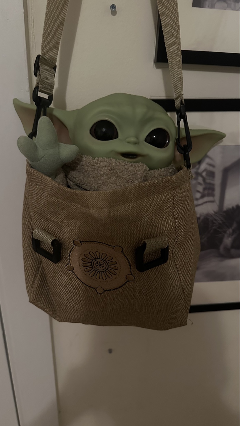 The Child Plush Toy with Carrier Bag