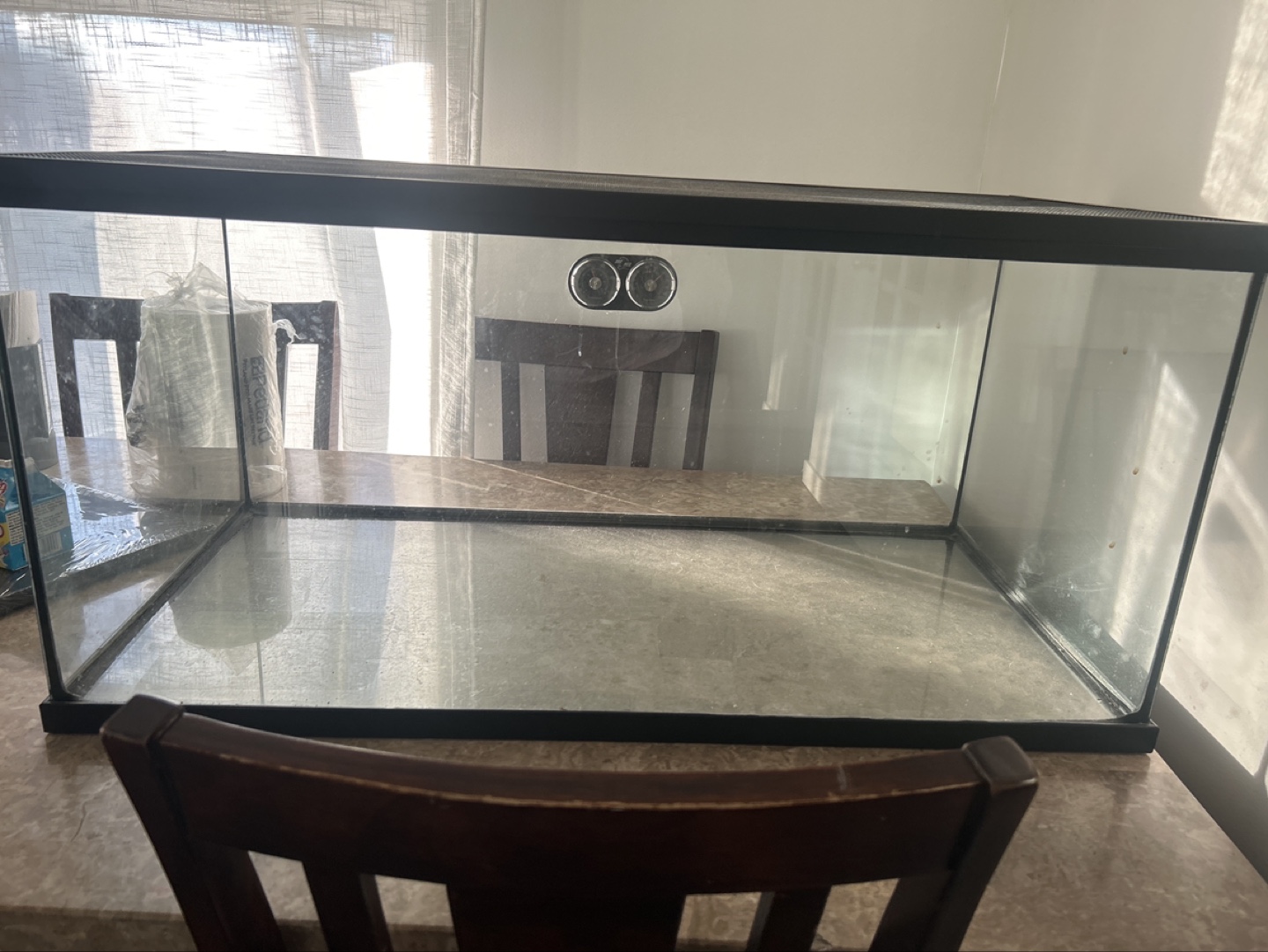 40 Gallon Glass Reptile Terrarium