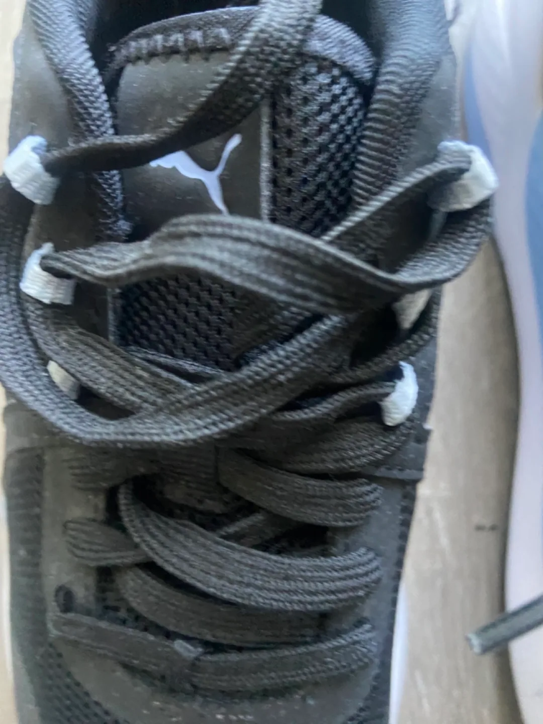 Puma Women's Running Shoes - Black & Light Blue image indicator(5)