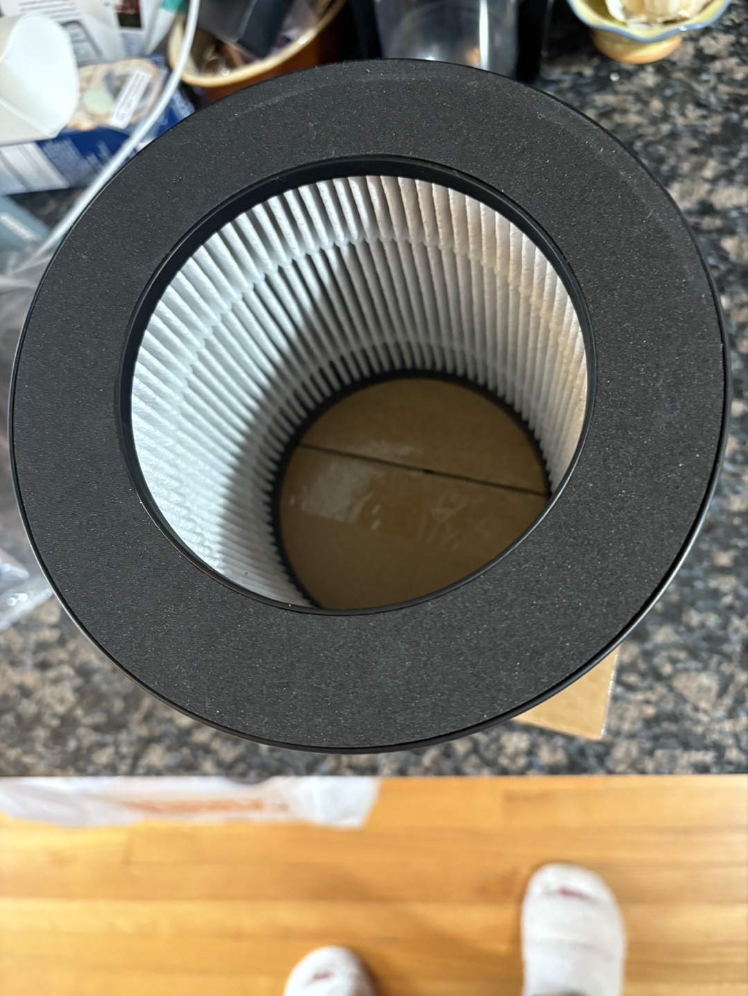 Bissell MyAir Replacement Filter 2801 - photo 3