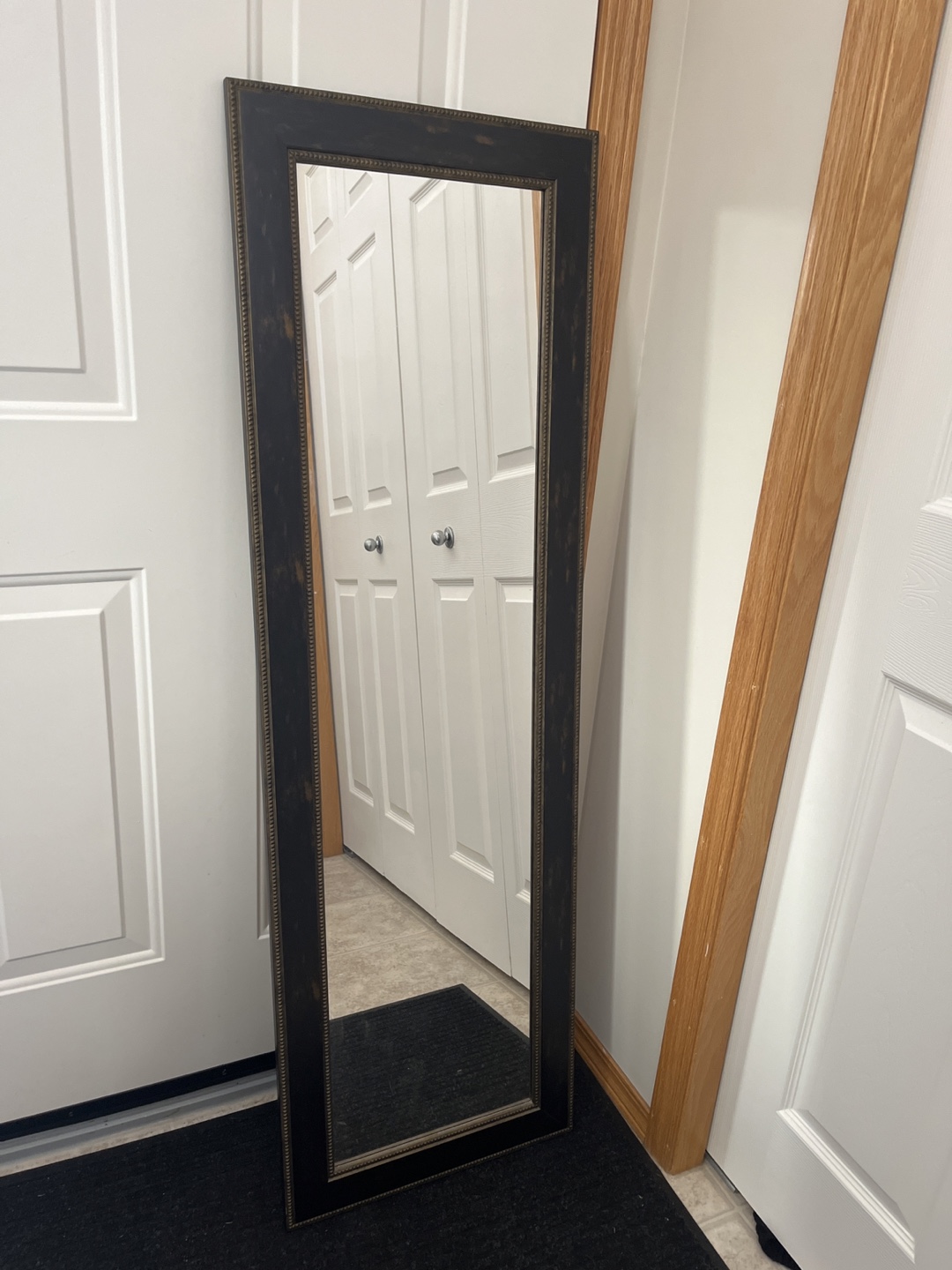 Full Length Mirror with Dark Frame