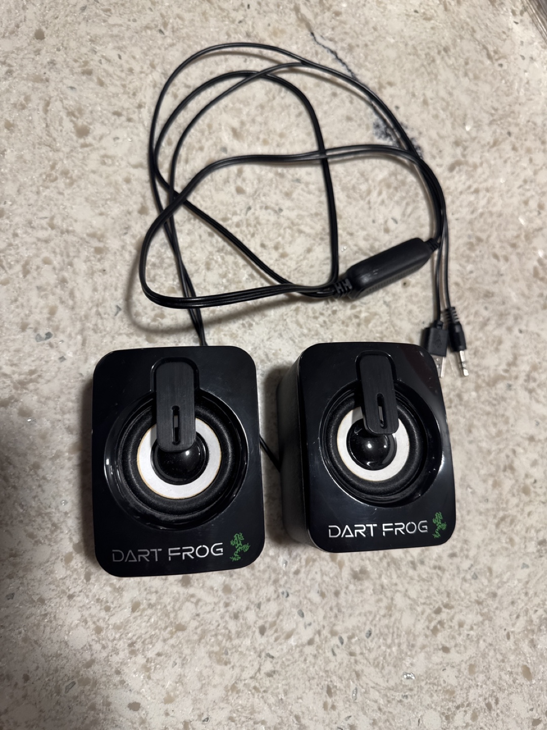 Dart Frog Computer Speakers