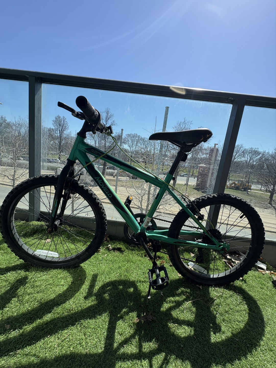 Algonquin 20" Kids Bike - photo 2