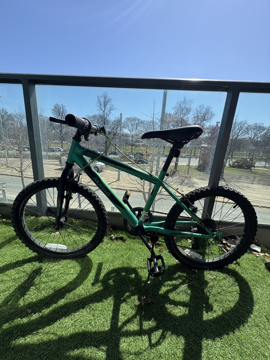 Algonquin 20" Kids Bike