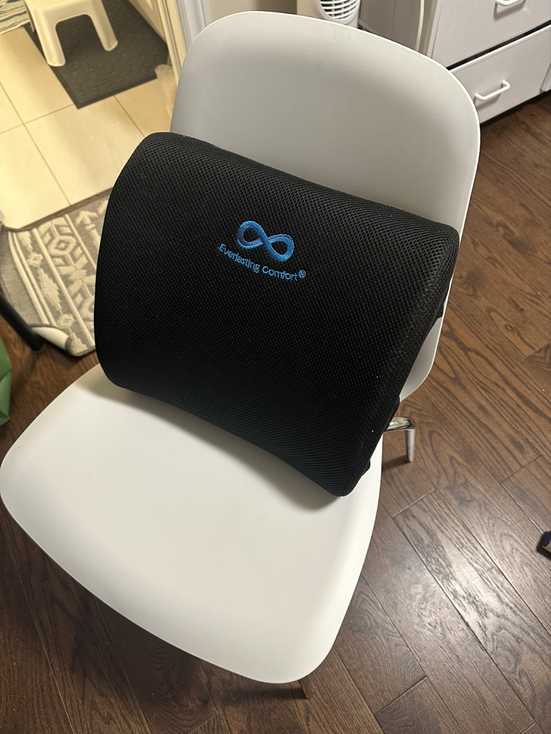 Everlasting Comfort Lumbar Support Cushion