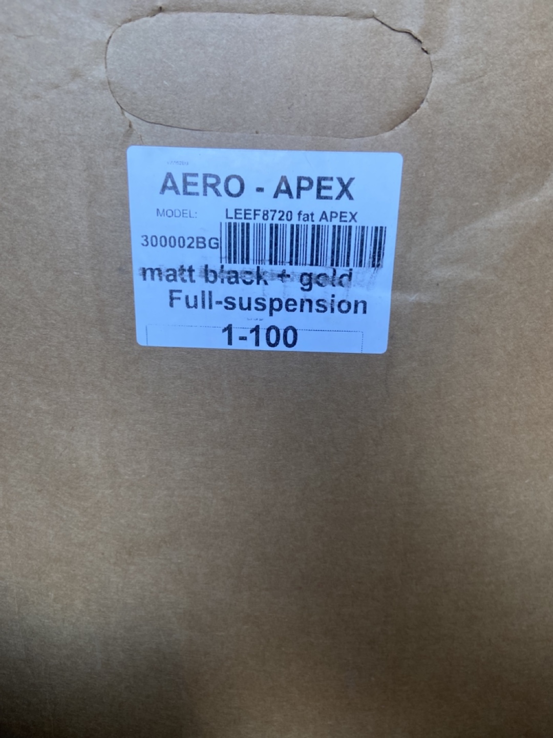 Aero Apex LEFF8720 Fat Tire Electric Bike - photo 5