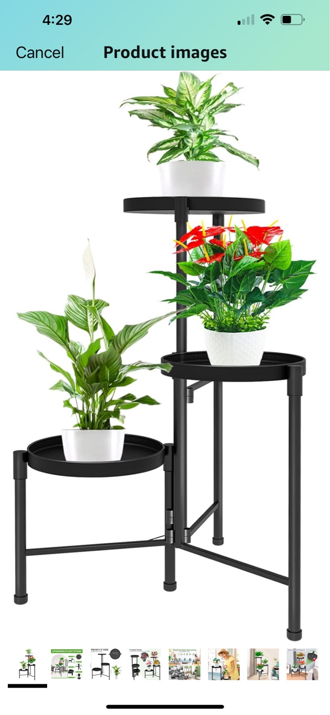 Three-Tier Black Metal Plant Stand