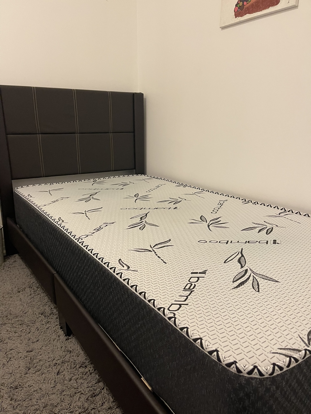 Brand new - Twin bed with mattress