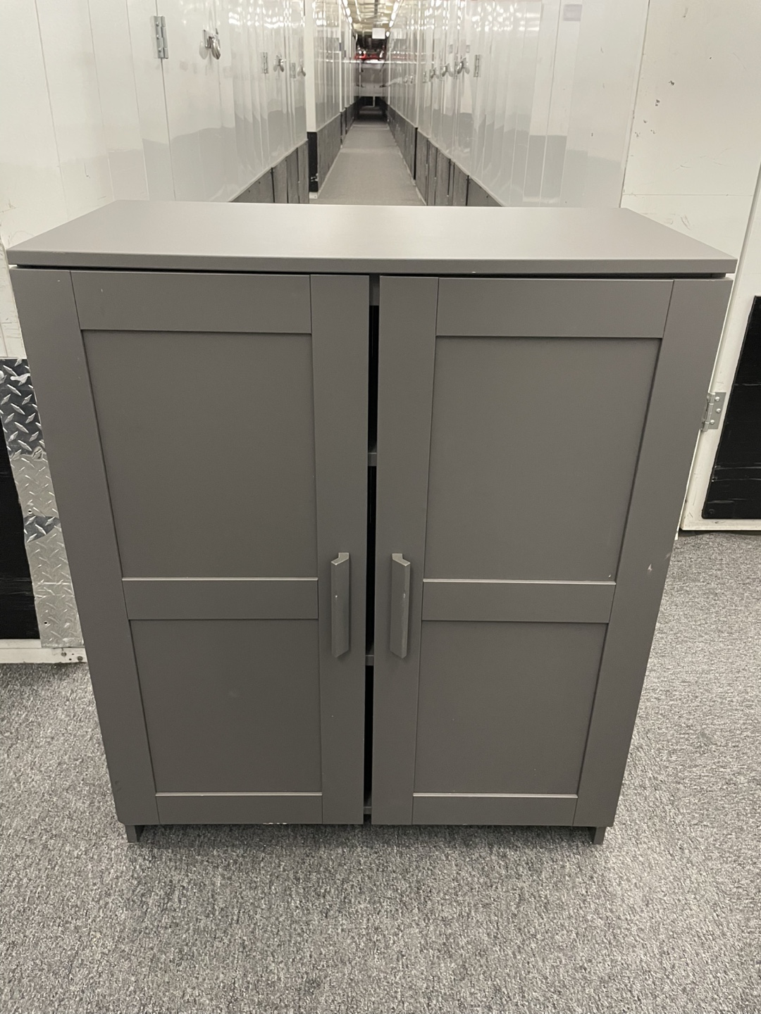 Matte Gray Cabinet with Two Doors and Shelves