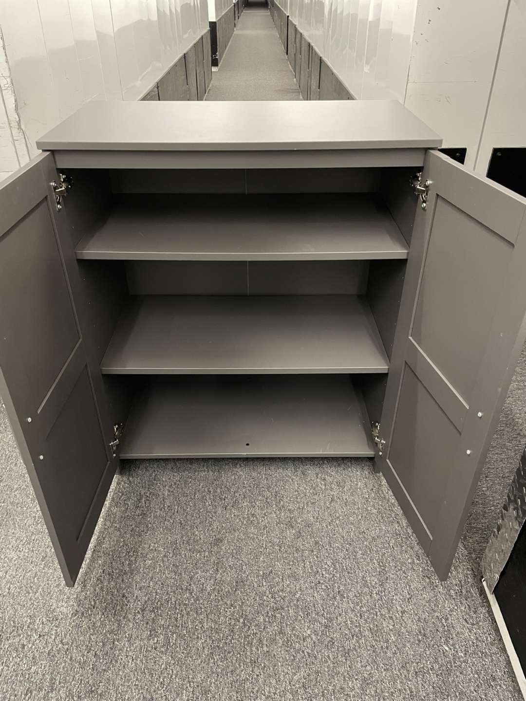 Matte Gray Cabinet with Two Doors and Shelves - photo 4