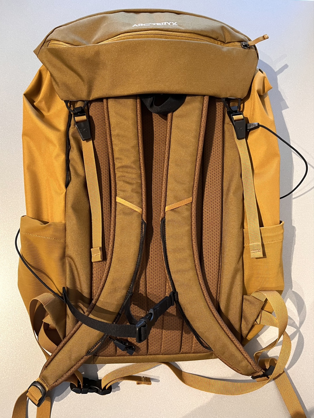 Arc'teryx Mantis 30 Backpack - Mustard Yellow - photo 2
