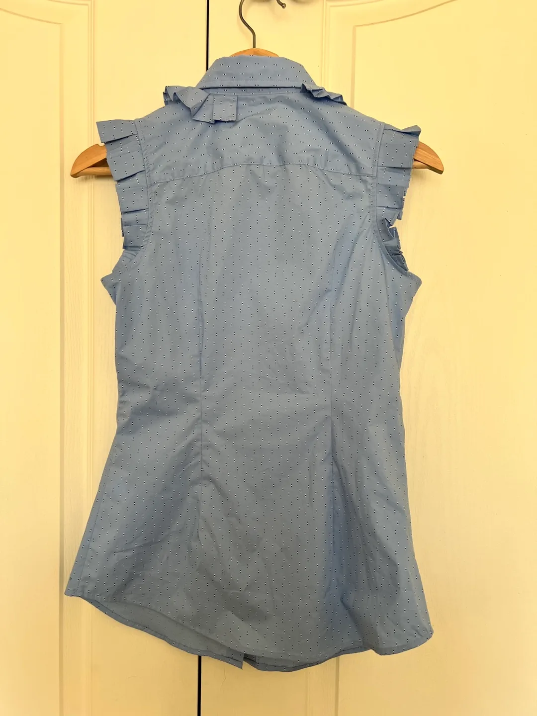 Banana Republic Riley Shirt Sleeveless Blouse image indicator(4)