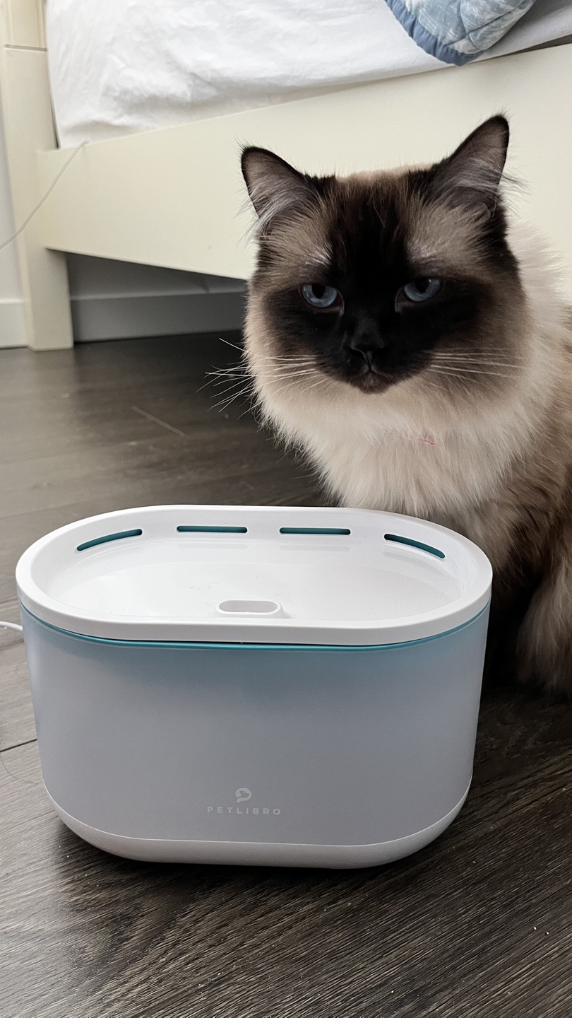 Petlibro Automatic Pet Water Fountain