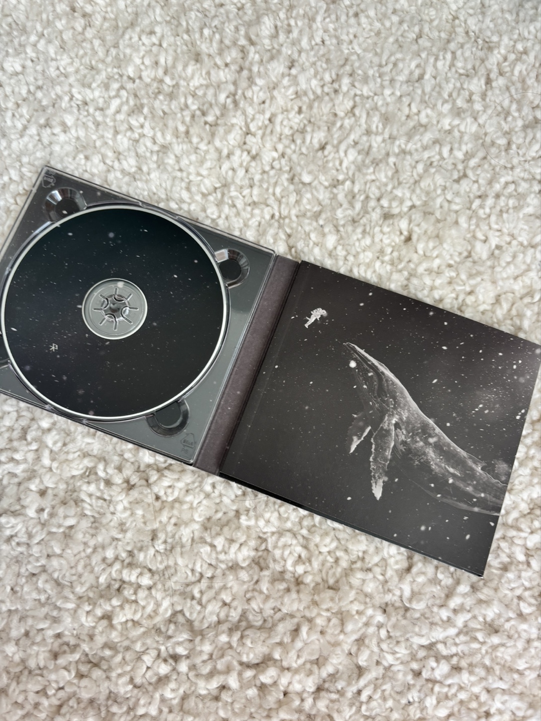 EXO - Sing For You CD Sehun - photo 2
