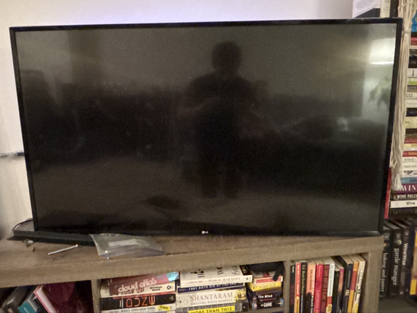 LG 49-inch LED TV