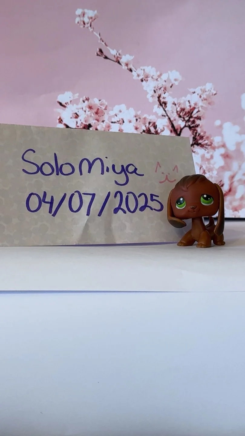 LPS Authentic #77 Beagle Littlest Pet Shop image indicator(2)