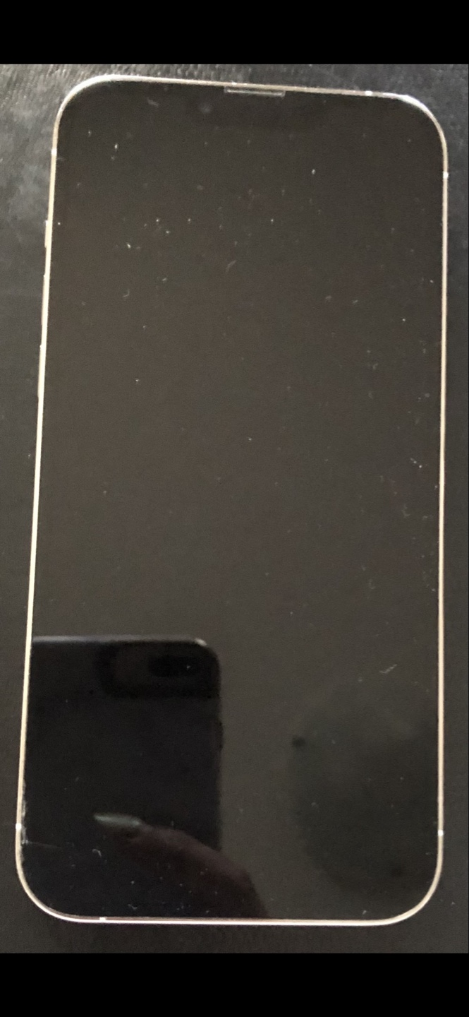 iPhone 13 Pro Max - Silver - Pre-owned - photo 3