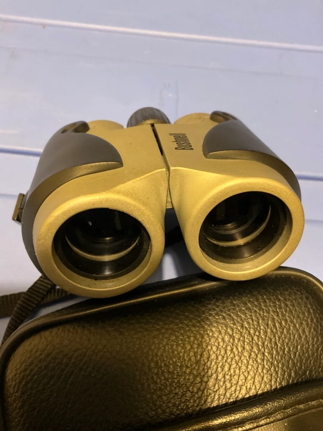 Bushnell Explorer 10x25 Binoculars with Case image indicator(4)