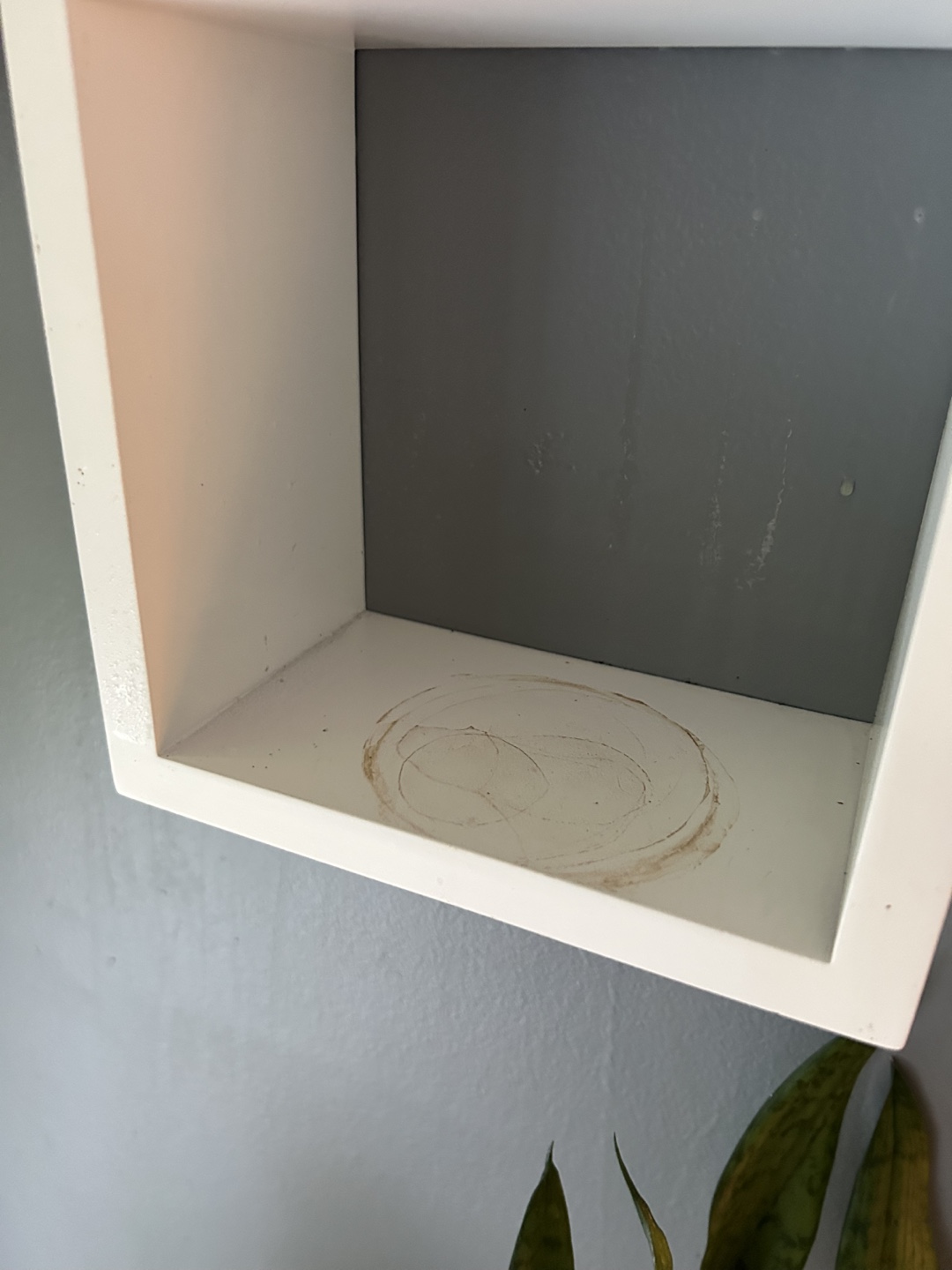 Trio of Small Square Shelves - photo 2