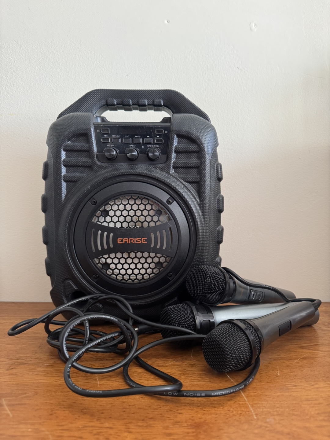 Portable Karaoke Speaker with 3 Microphones