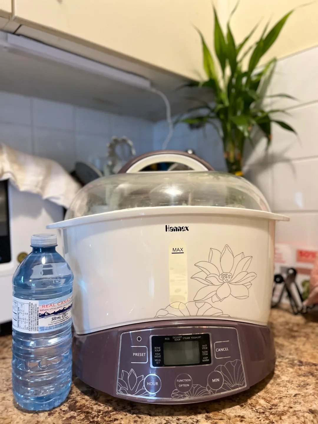 Hannex Multi-Function Cooker Steamer💚 image indicator(2)
