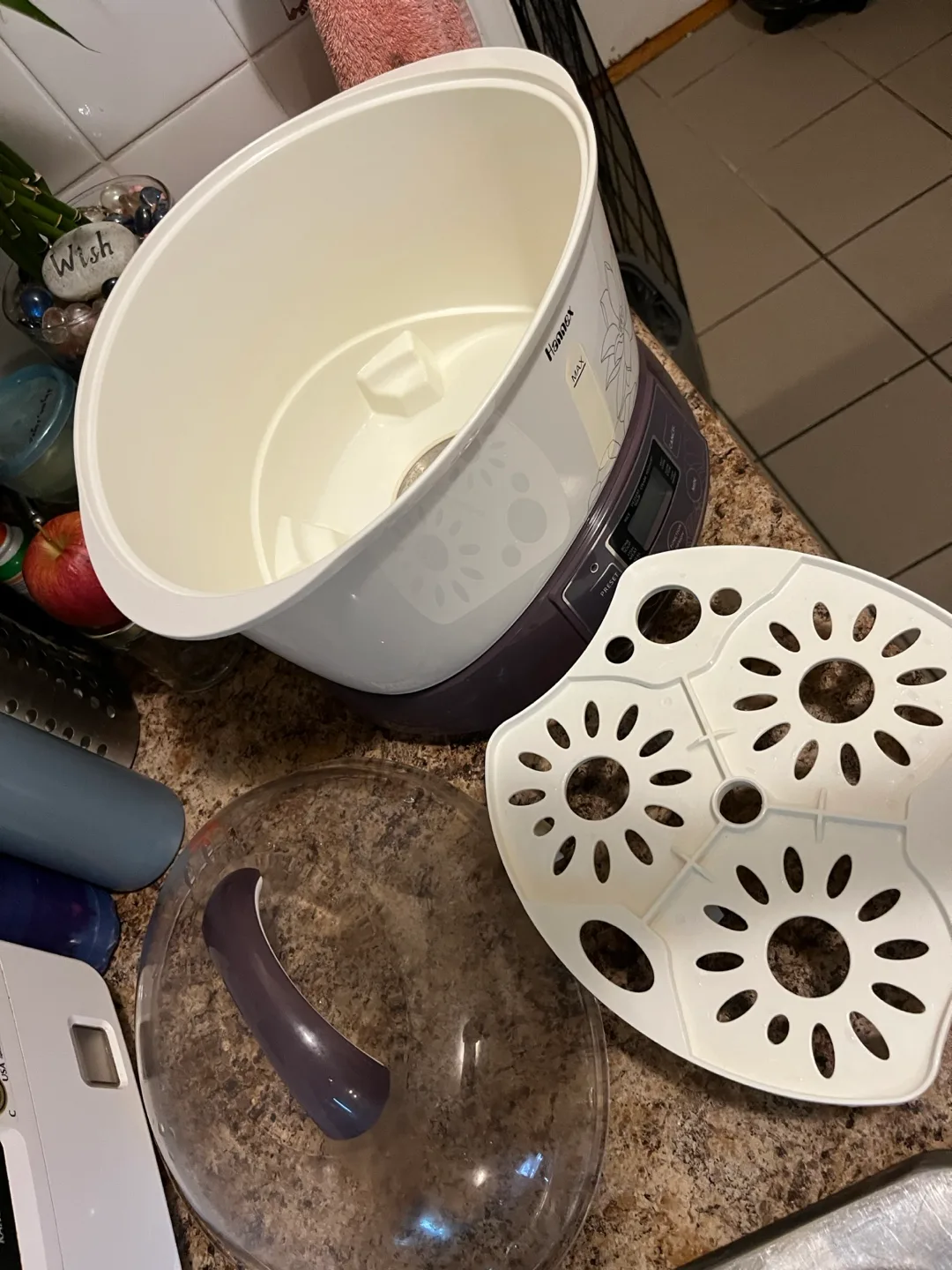 Hannex Multi-Function Cooker Steamer💚 image indicator(5)