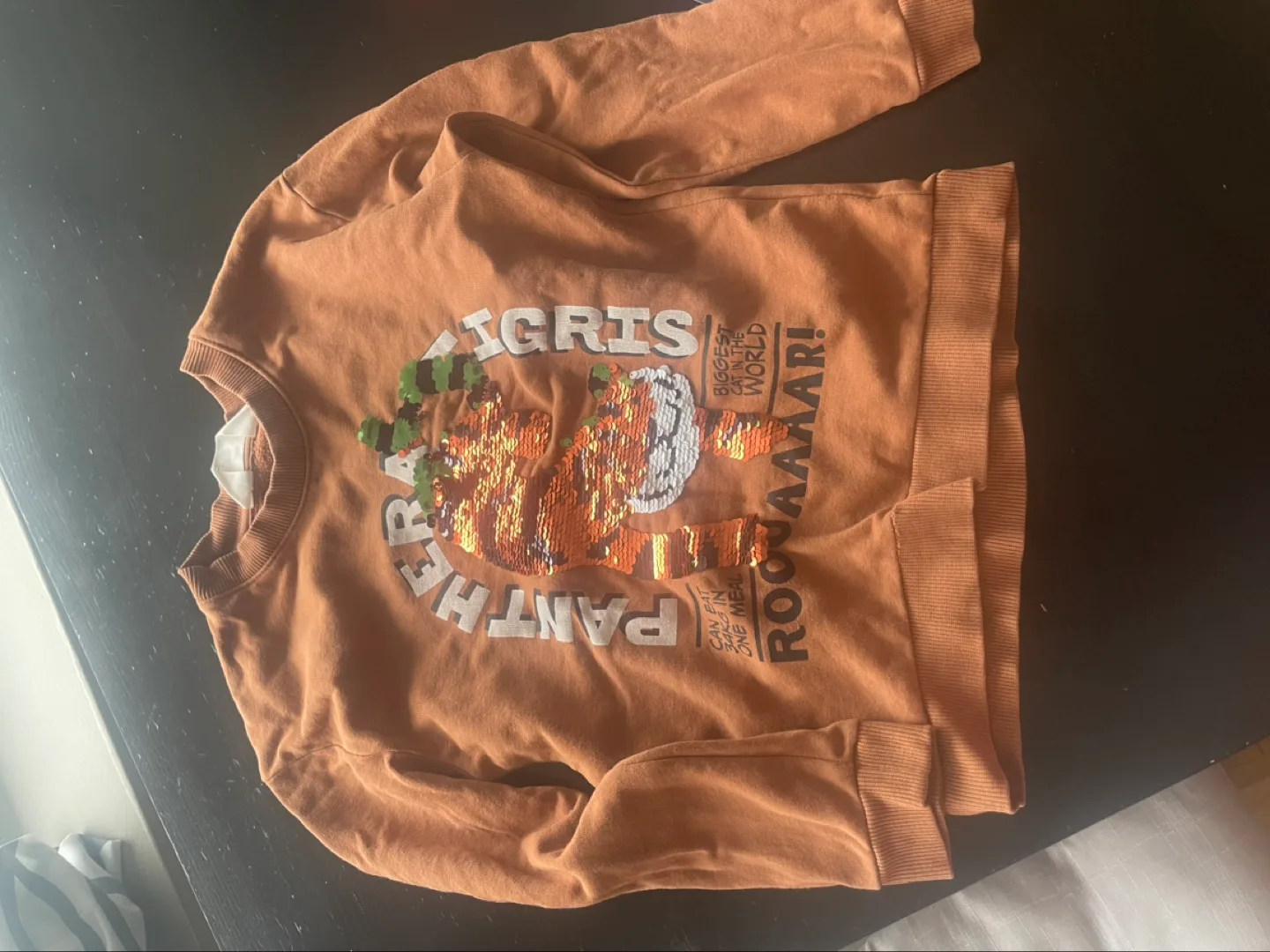 Kids' Brown Tiger Sweatshirt 💚 image indicator(3)